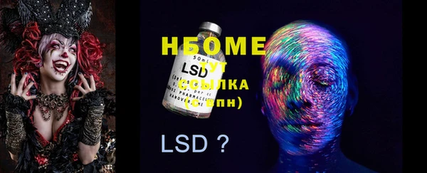 мяу мяу мука Пестово
