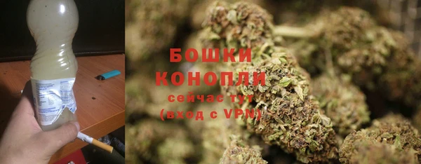 соль ск Дмитровск