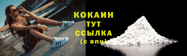 соль ск Дмитровск