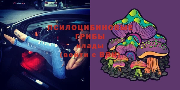 тгк Кострома
