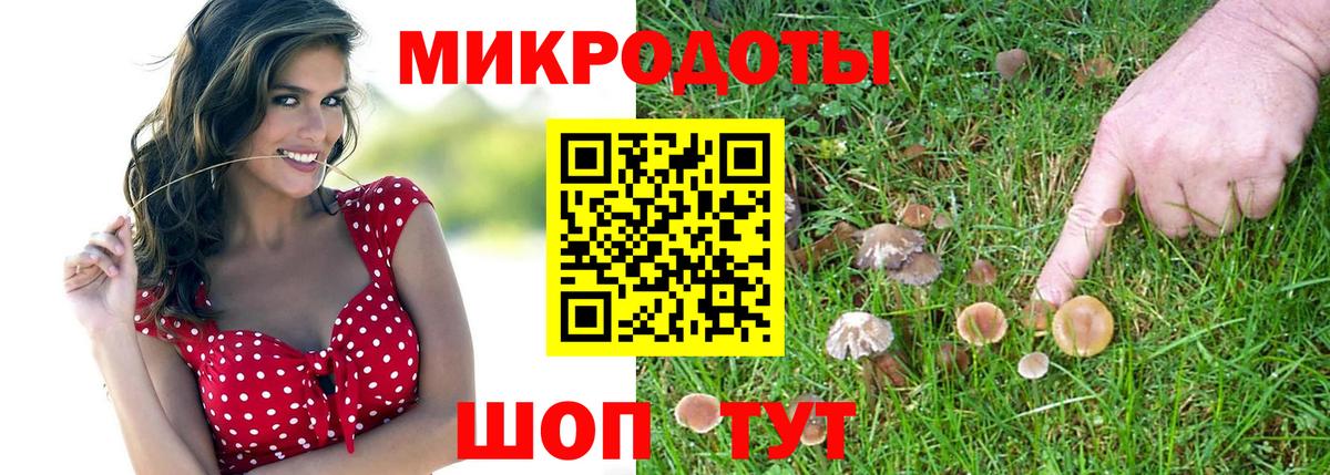 Псилоцибиновые грибы прущие грибы  Галлюциногенные грибы Cubensis  Реж  продажа наркотиков  Вход с VPN 