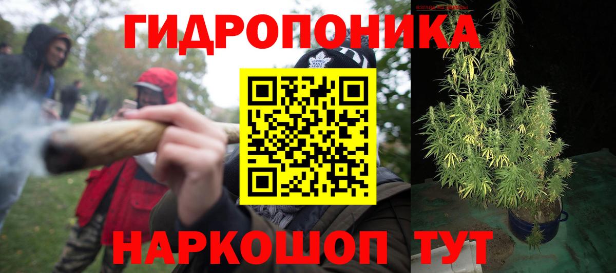 Шишки марихуана планчик  Вход с VPN  Марихуана планчик  Бошки Шишки THC 21%  Реж 